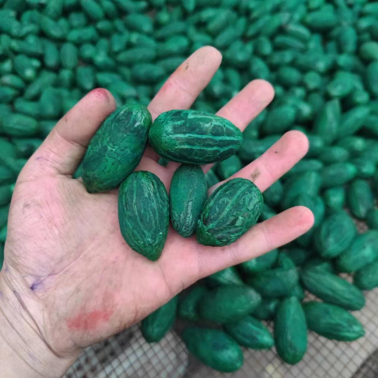 微信图片_20220729233223