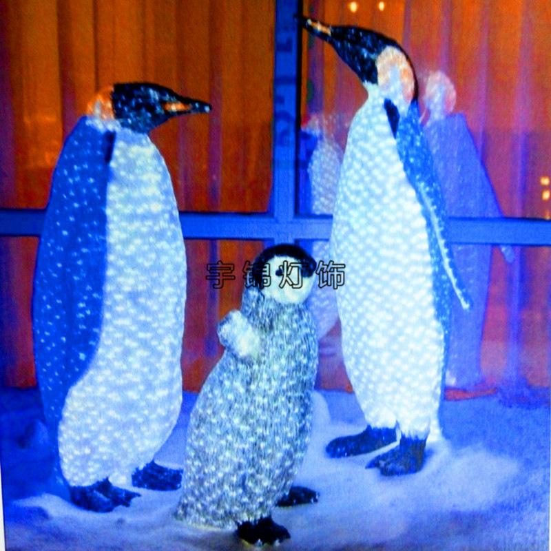 506.jpg