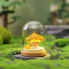 Isla de la Luna Nueva Creativa Caja Sorpresa Adornos de Resina de Moda para Escritorio Decoraciones de Habitación Regalos de Vacaciones Venta al por Mayor