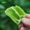 Sementes de Berinjela Pimentão Campo Agrícola Horta Plantio Pastoral Vegetal Sementes de Pimentão Verde Espesso Carnudo Picante Doce Médio Maturação Precoce