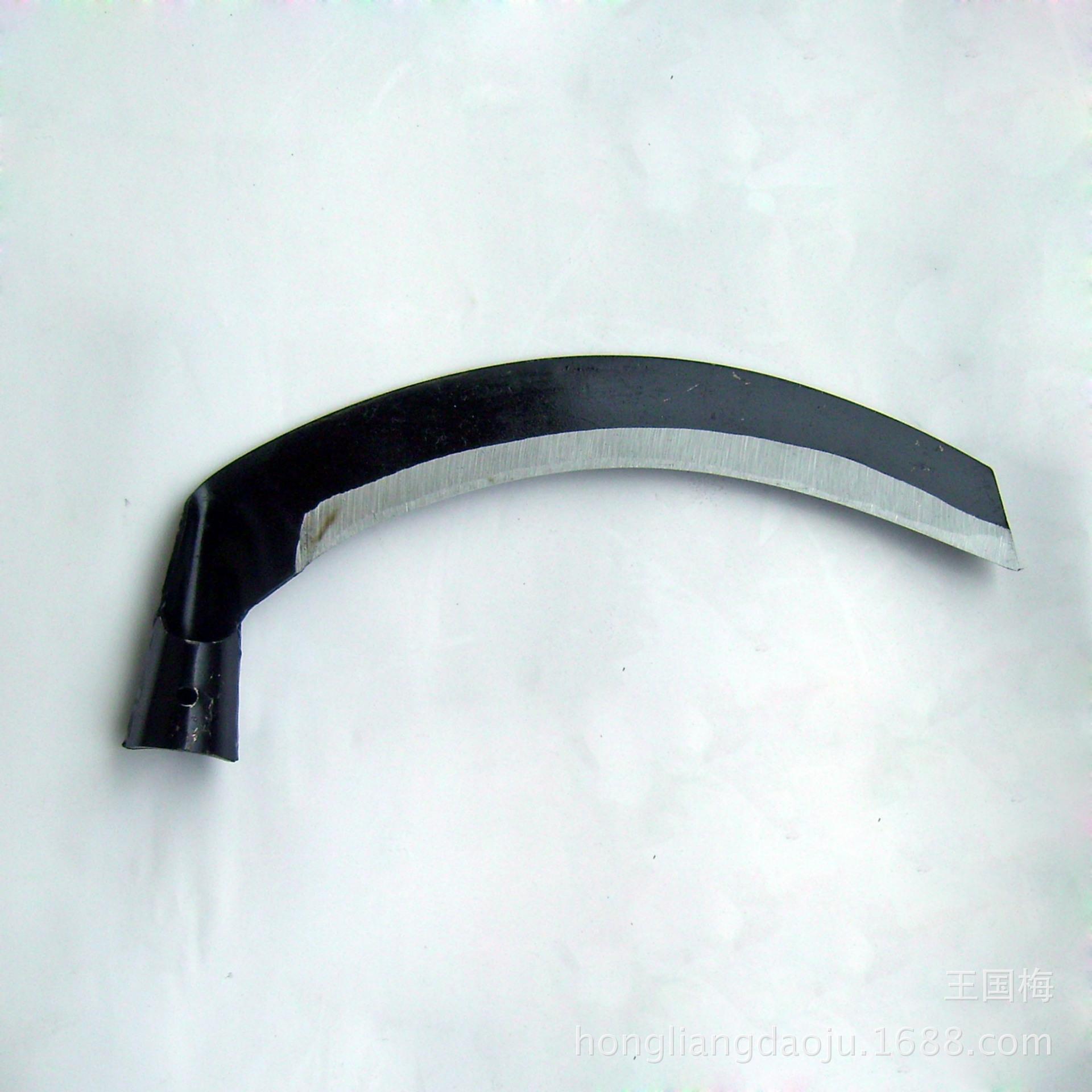 DSCI0010