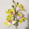 Celebridad de Internet Pinza para el Cabello Orquídea Tailandesa Flor de Flores Tocado de Flor Novia Dama de Honor Cabello Vacaciones Flor de Cabeza