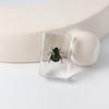 Libro de insectos reales delgados, adornos de escritorio de insectos reales, escarabajo escorpión, material didáctico para niños, manualidades de resina
