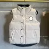Comércio Transfronteiriço Colete com Gola Alta de Penas de Ganso com Bolsos Diagonais, Etiqueta Preta, Unissex, Estilo Versátil da Moda Outono e Inverno