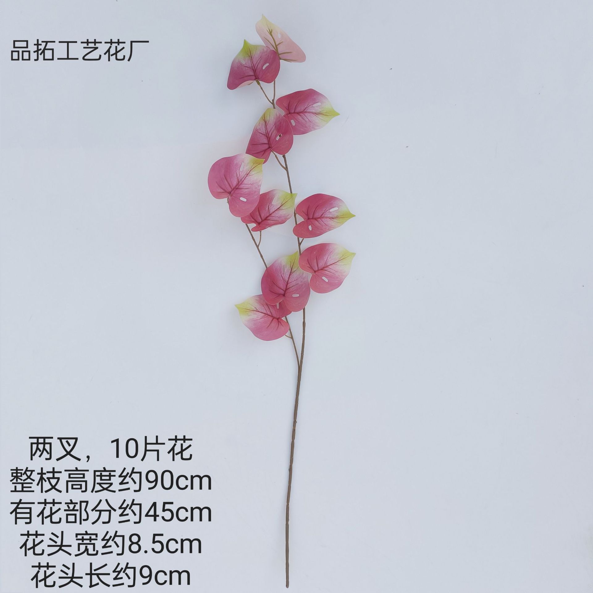 5ed330e52e7bc7e275c14d5e5544d4