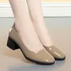 Zapatos Suaves de Cuero Brillante Estilo Francés para la Noche Mujer 2026 Otoño Nuevos de Tacón Medio Combinan con Faldas Color Nude Zapatos de Vestir Zapatos Pequeños de Cuero de Punta Cuadrada