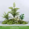 Paisagismo com Plantas Verdes Paisagismo de Sala de Estar Interna Paisagismo sob a Janela da Escada Arranjo de Decoração Plantas Artificiais Biônicas