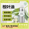 Óleo Essencial de Eucalipto Destilado, Óleo de Eucalipto, Óleo de Folha de Eucalipto, Eucaliptol, Cosméticos, Massagem, Fragrância, Aroma de Eucalipto