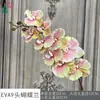 Eva9 Orquídea Phalaenopsis Toque Phalaenopsis Decoração de Casa Ornamento Flor Artificial Arco de Casamento Cenário Flor Artificial