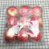Suministro de fábrica modelo de fruta simulación fruta falsa manzana falsa accesorios de educación para la iluminación infantil accesorios de fotografía