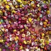 Flores Hechas a Mano del Jardín de Infancia Acorn, Flores Naturales Reales, Piñas, Frutos de Mil Granos, Flores Secas Decorativas, Materiales para Manualidades Navideñas