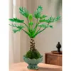 Escama de Dragão Pena de Primavera Bola de Musgo em Vaso Tronco Velho Escritório Plantas Hidropônicas Tolerantes à Sombra Internas e Externas Purificam o Ar Plantas Verdes de Mesa