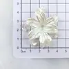 Pétalos de Iris DIY Accesorios de Abalorios Hechos a Mano Agujero Pasante Flor de Seis Pétalos Cuentas Sueltas Adornos de Flores Hechos a Mano Paquete de Materiales para Decoraciones
