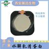 Proteína de Suero Hidrolizada Materias Primas Zhuanxun Suministro Zhuanxun Punto de Venta kg