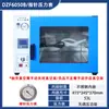 Horno de Secado al Vacío de Temperatura Constante Horno de Vacío de Laboratorio 6020 Horno de Vacío Industrial Horno de Secado Horno Eléctrico de Temperatura Constante