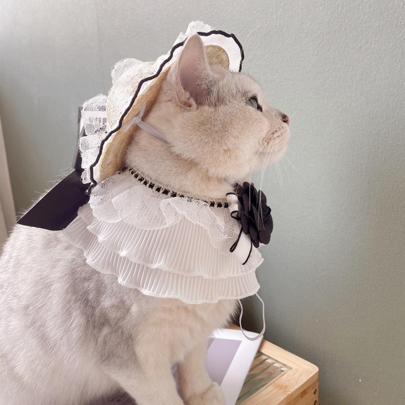 5a6f522ba17dfac4720ac0ac9dd531