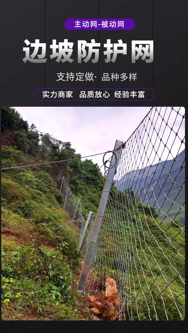 被动防护网1_02.jpg