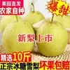 Hebei Pera de Nieve Auténtica Azúcar de Roca Pera de Nieve Peras Frescas 3kg 5kg 5kg Caja Completa Venta al por Mayor Envío Gratis