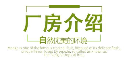 厂房介绍