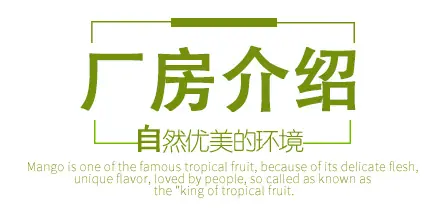 厂房介绍