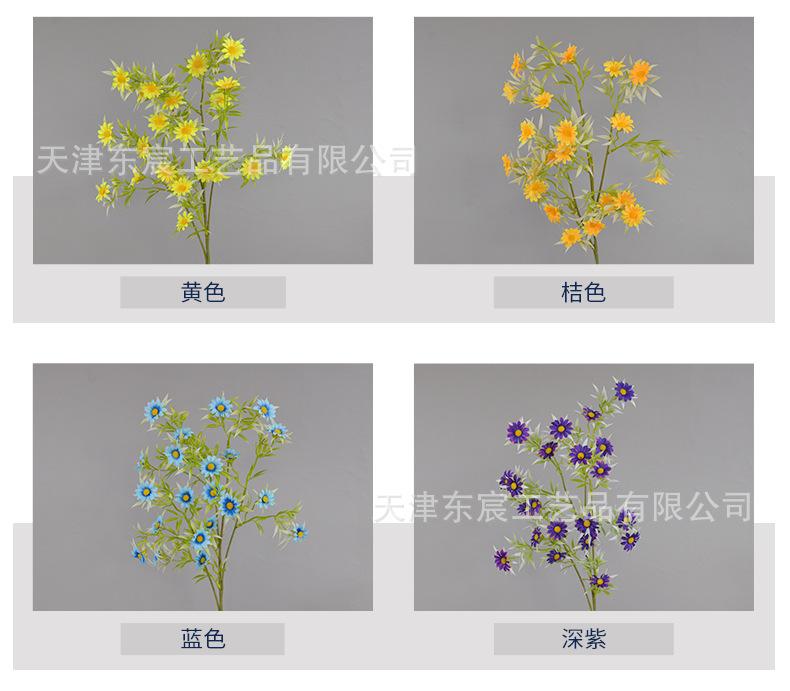 详情_03.jpg