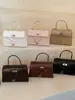 2026 Nova Bolsa de Mão Retrô de Outono Bolsa Tote Pequena Bolsa Quadrada Pequena Feminina Bolsa Simples de Ombro Único Transversal
