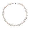 Cross-border Hot-selling Collarbone Pearl Necklace Feminino High-end Ins Style Simple Nini Mesmo Estilo Pequeno Fresh Pearl Necklace