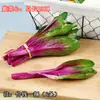 Verduras de Simulación Apio Cebolletas Brotes de Ajo Apio Chino Verduras Verdes Modelos Decoración de Habitación de Modelo Adornos Accesorios de Disparo