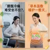 Parche Herbal Calentador Farmacéutico Li Shizhen para Cintura y Abdomen, Parche Caliente de Artemisa para la Cintura, Terapia de Calor de Larga Duración, Protector de Cintura de Temperatura Constante