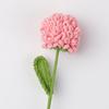 Terminado transfronterizo hecho a mano flor lana ganchillo tejido rosa Tanabata Día de San Valentín regalo tejido flor simulación venta al por mayor