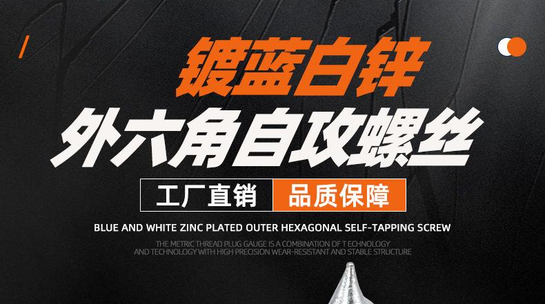 镀蓝白锌外六角自攻螺丝_01_01.jpg