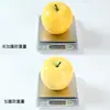 Fruta de Simulação de Maçã Falsa Maçã Vermelha Decoração de Casa Decoração de Educação Infantil Adereços Fotografia de Vitrine Modelo de Plástico Decoração