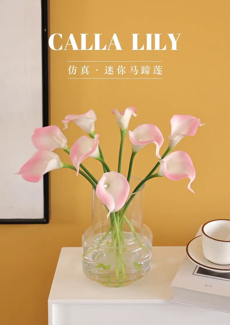 8头迷你马蹄莲_01.jpg