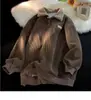 Moletom de Gola Polo de Veludo Cotelê para Homens Outono e Inverno Forrado com Lã Espessa Jaqueta de Lã de Cordeiro Masculina Inverno Estilo Hong Kong Juvenil