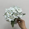 Begonia de 5 Pétalos Flor Manzana Pequeña Ins Amazónico Floral Flor Artificial Flor de Seda Venta al por Mayor Traje de Flor Artificial Fábrica Venta Directa