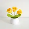 Día del Maestro Maceta Tejida Flor Artificial Acabados Adornos Decoración Hogar Amigos Mejor Amigo Regalos Regalo Flores en Maceta