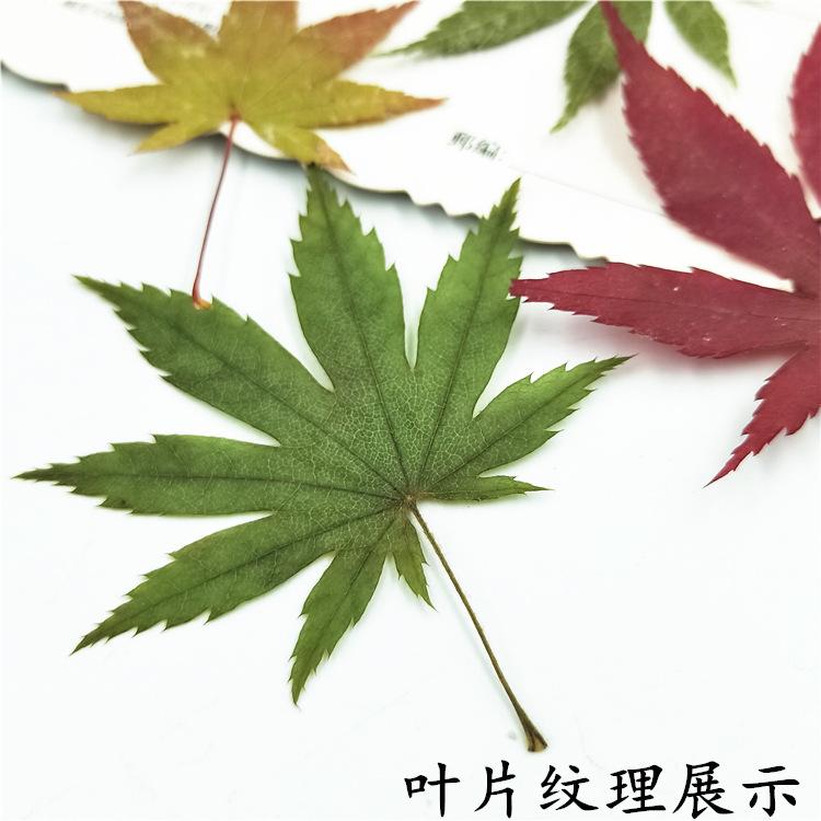 IMG20190111172748