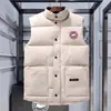 Chaleco de Plumas de Ganso Otoño e Invierno Nuevo Engrosado de Moda Casual sin Mangas Chaqueta de Plumas Chaleco Térmico de Plumas de Pato para Hombres y Mujeres