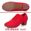 Zapatos de Baile Latino para Mujer, Tacones Altos, Zapatos de Baile para Adultos de Cuatro Estaciones, Especial para Profesores, Práctica, Sociales, Estándar Nacional, Zapatos de Baile de Tela Oxford