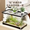 Acuario de Escritorio para Sala de Estar Micro-Paisaje Ecológico Pecera de Peces Dorados Tanque de Peces de Plástico Transparente Persona Perezosa No Necesita Cambiar el Agua Tanque Rectangular