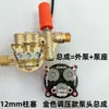 220V Gato Negro de Shanghái Máquina de Limpieza Doméstica y Comercial Máquina de Lavado de Autos Ensamblaje de Cabezal de Bomba de Alta Presión Cabezal de Bomba Dorado Otros