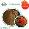 Pó Cru de Ganoderma Lucidum Pode Ser Usado para Obter um Certificado Tc, Extrato de Ganoderma Lucidum Grau Alimentício -Glucano, Estoque Pronto de Fábrica Polissacarídeo de Ganoderma Lucidum no Atacado