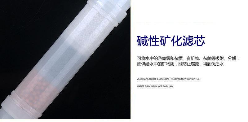 快接BIO碱性矿化滤芯10