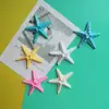 Acessórios de Resina com Concha de Estrela Sapatos com Furo Grampo de Cabelo Acessórios de Cabelo Bolsa Brinquedos Material DIY Fabricante Atacado