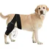 Rodillera para Perro Correa de Fijación para Articulación de la Pata Trasera Recuperación Postoperatoria Antiabrasión Transpirable Ajustable Equipo de Protección Suministros