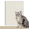 Rascador para Gatos, Corte Aleatorio, Resistente al Desgaste, Resistente a los Arañazos, No Suelta Pelo, Pegatina de Pared Multifuncional, Artefacto Divertido para Gatos, Rascador y Escalador para Gatos