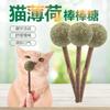 Chupetín de Hierba Gatera Jingxiu Bola de Pelo Palo Limpiador de Dientes para Gatos Soporte Hierba Gatera Natural Polygonum Karmicum Snacks para Gatos