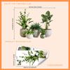 Ms7168 Pegatinas de Pared Creativas de Plantas Grandes en Maceta para Sala de Estar, Balcón, Decoración de Habitación, Gran Cantidad Disponible, Precio Negociable