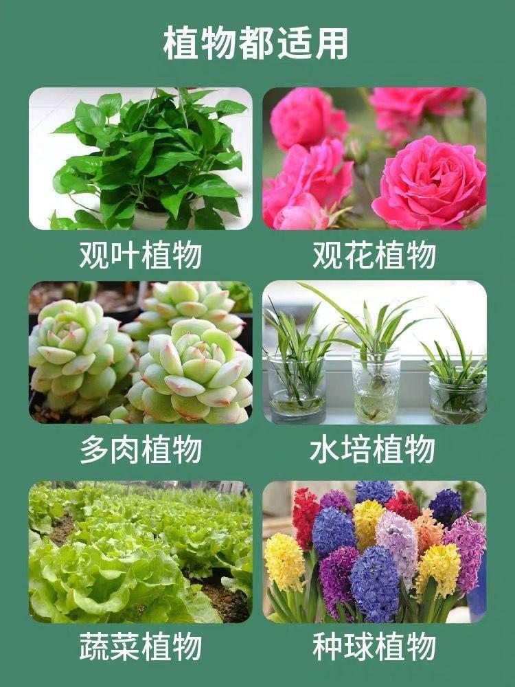 微信图片_20250322170336.jpg
