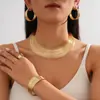 Colar Transfronteiriço Europeu e Americano Estilo Metal com Studs Irregulares de Diamante, Corrente de Clavícula com Design de Nicho, Acessório de Pescoço Minimalista Retrô para Mulheres